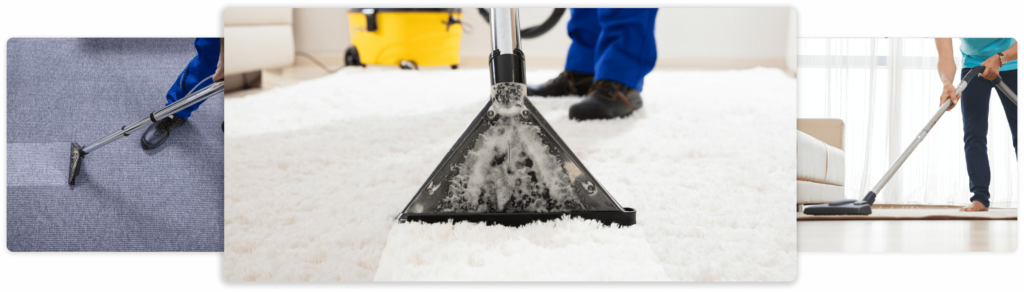 Business Software for Carpet Cleaning