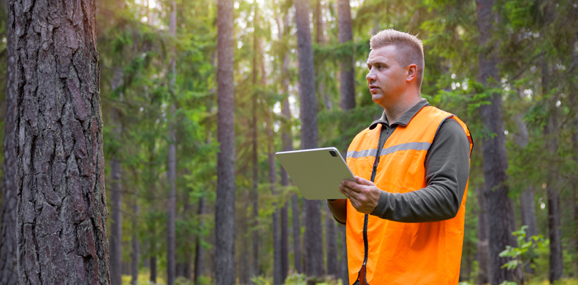 What is Arborist Software